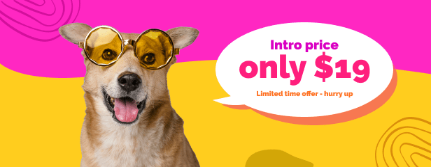 Jinx - Pet Shop & Veterinary WooCommerce Theme