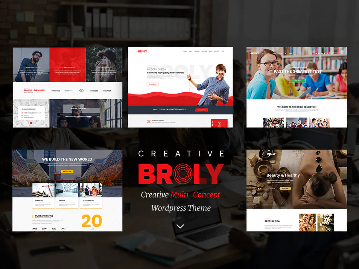 Broly - Creative Multi-Concept WordPress Theme
