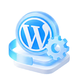WordPress Theme Customization